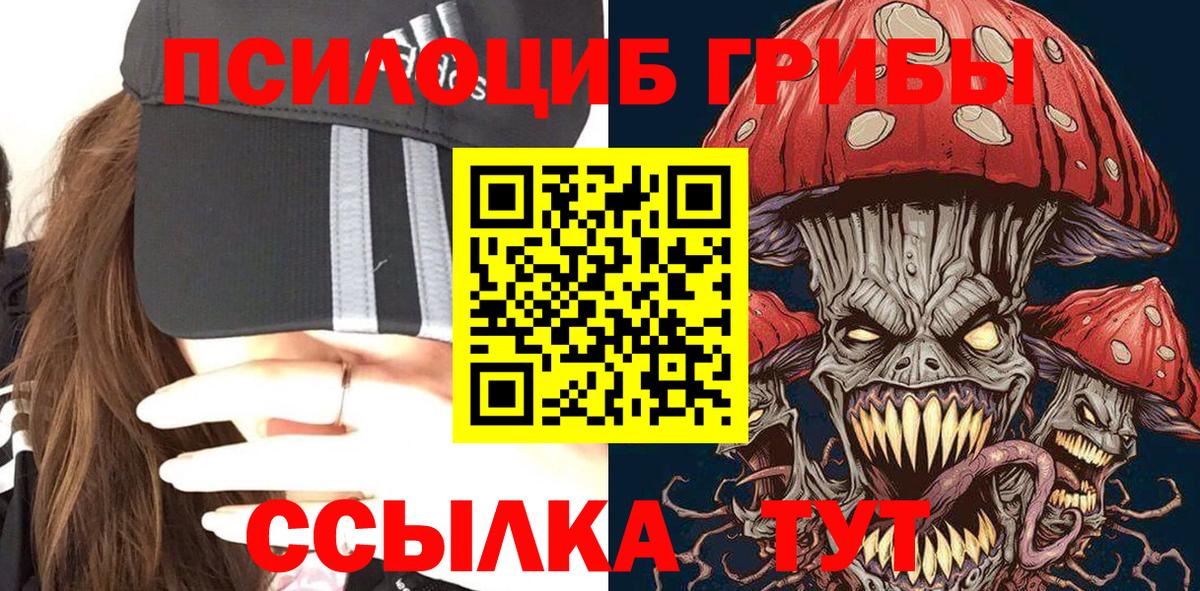 Саратов  Псилоцибиновые грибы MAGIC MUSHROOMS  Вход с VPN  Галлюциногенные грибы прущие грибы 